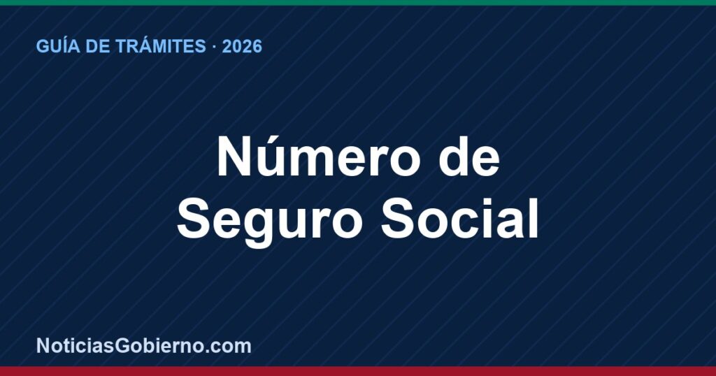 Número de Seguro Social (NSS) 2026: Cómo Obtenerlo y Consultarlo