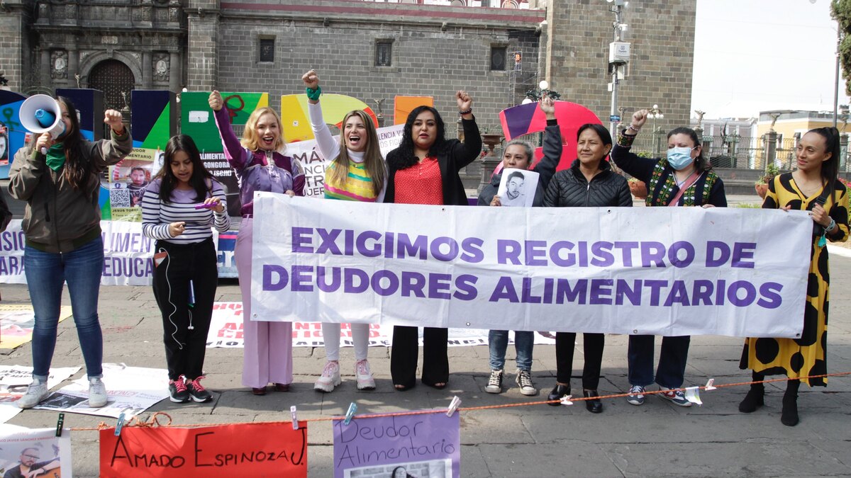 Registro Nacional de Obligaciones Alimentarias