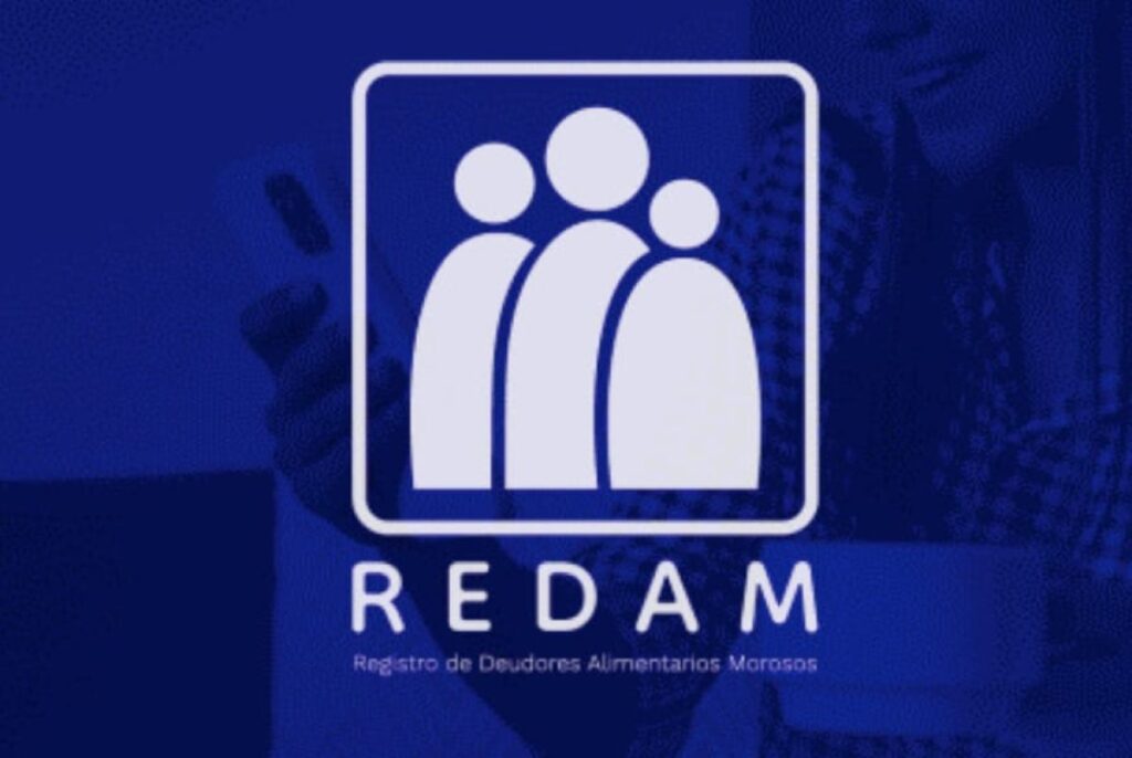 Registro de Deudores Alimentarios (REDAM): cómo consultarlo
