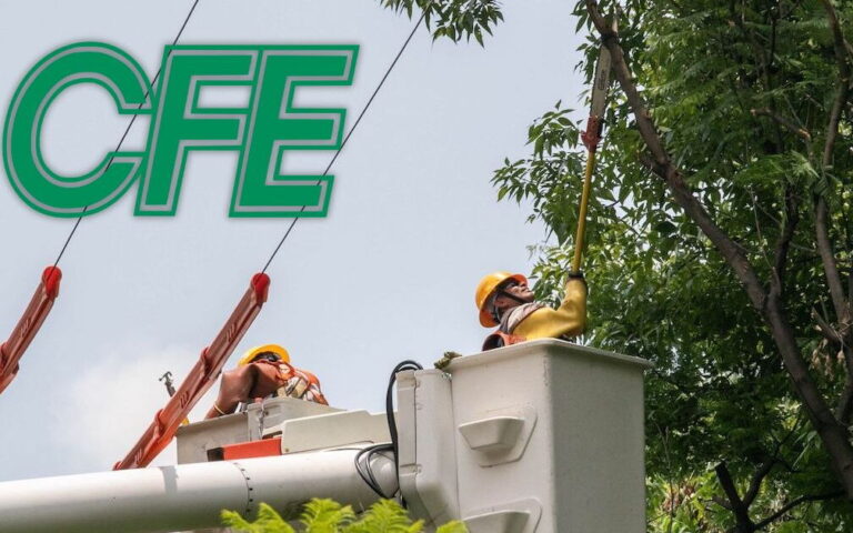 Bonificaciones de CFE por apagones: cómo reclamarlas