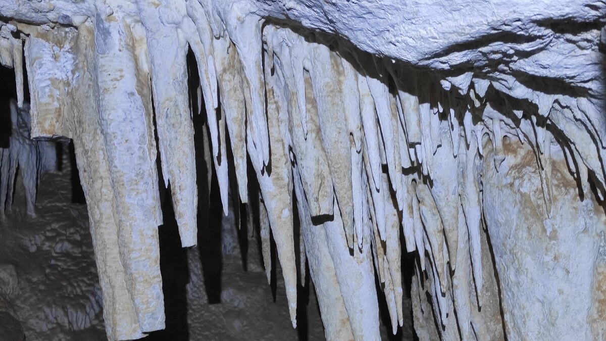Formaciones de estalactitas en el interior de una cueva, similares a las cámaras descritas por el INAH en Mundo Zoque