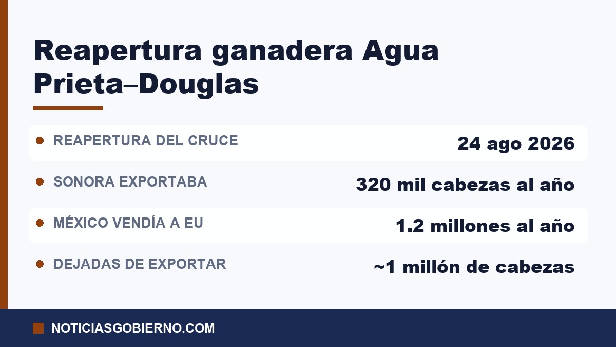 Datos de la reapertura ganadera: cruce reabierto el 24 de agosto de 2026, Sonora exportaba 320 mil cabezas al año, México vendía 1.2 millones de cabezas anuales a EU y se dejó de exportar cerca de un millón durante el cierre