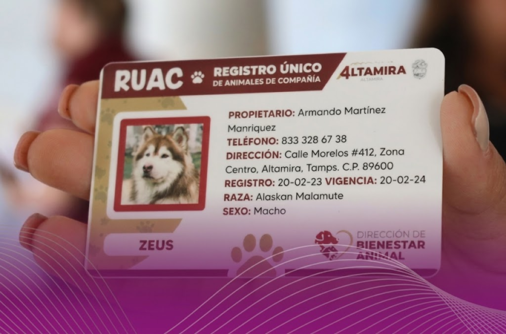 RUAC CDMX: así puedes registrar gratis a tu perro o gato