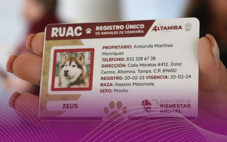 RUAC CDMX: así puedes registrar gratis a tu perro o gato