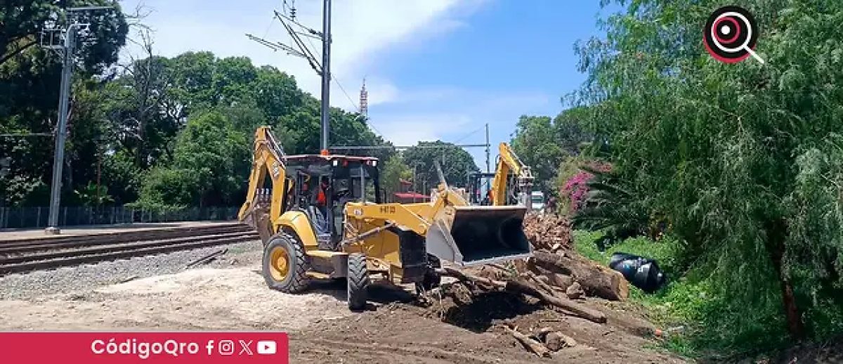 Tala de arboles por llegada de Tren México Querétaro