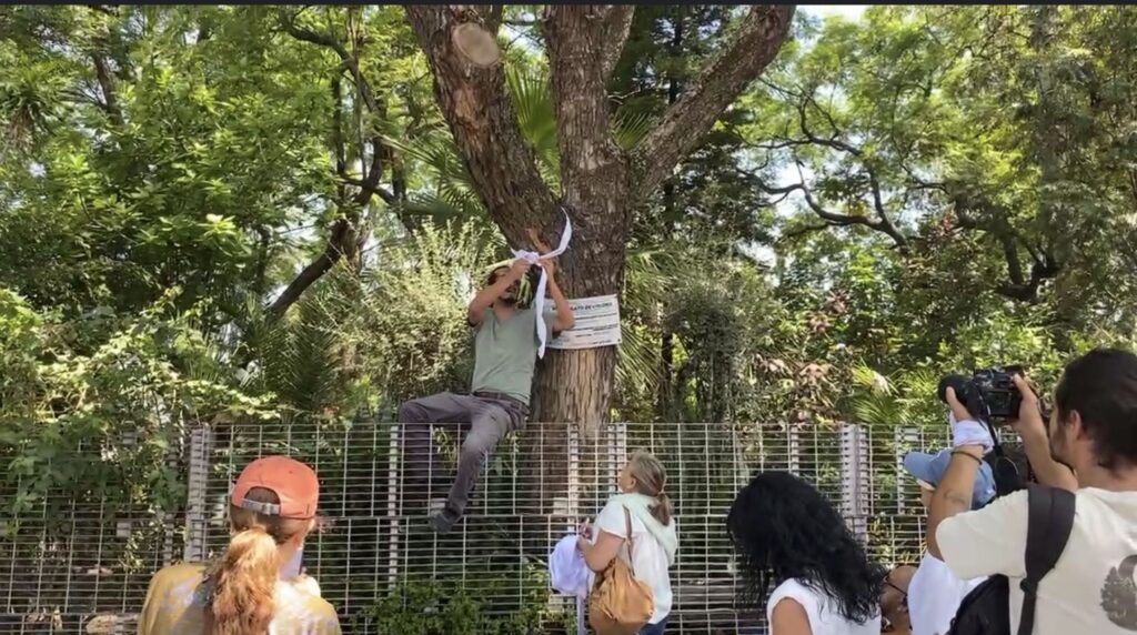Ecocidio Ferroviario en Querétaro: El Costo Oculto del Tren México-Querétaro