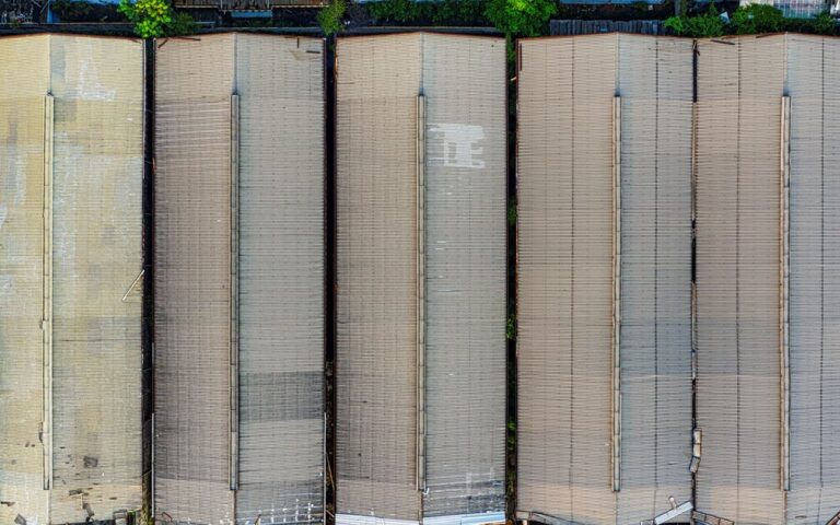 Mercado Libre aporta 106,400 mdp a la economía de México