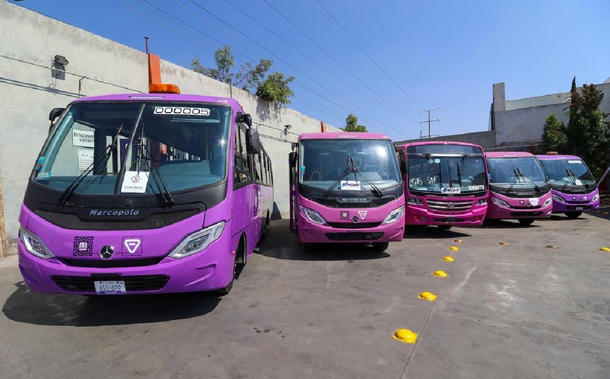 arjeta de circulación para transporte público concesionado estados