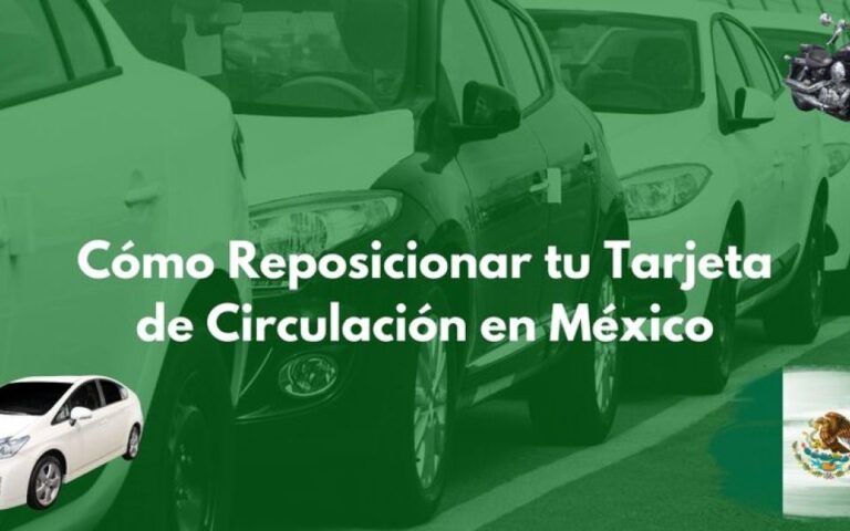 Duplicado de Tarjeta de Circulación: Qué Hacer si la Perdiste o te la Robaron