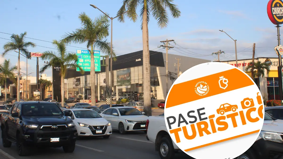 Guía Paso a Paso para Obtener el Permiso