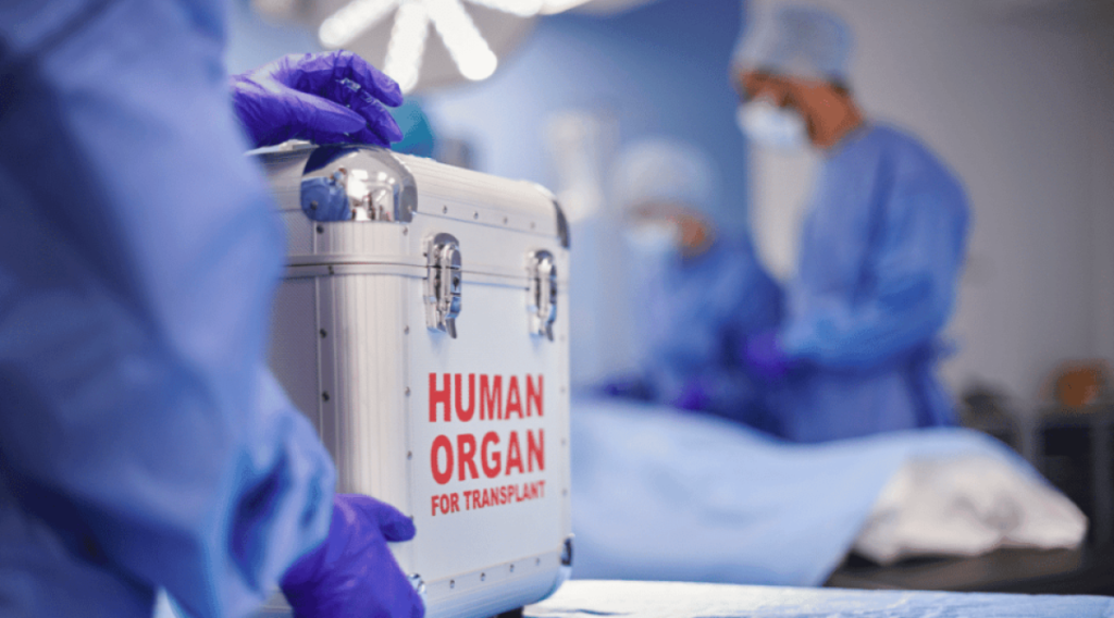 Donación de Órganos: Cómo Registrarte como Donador en México