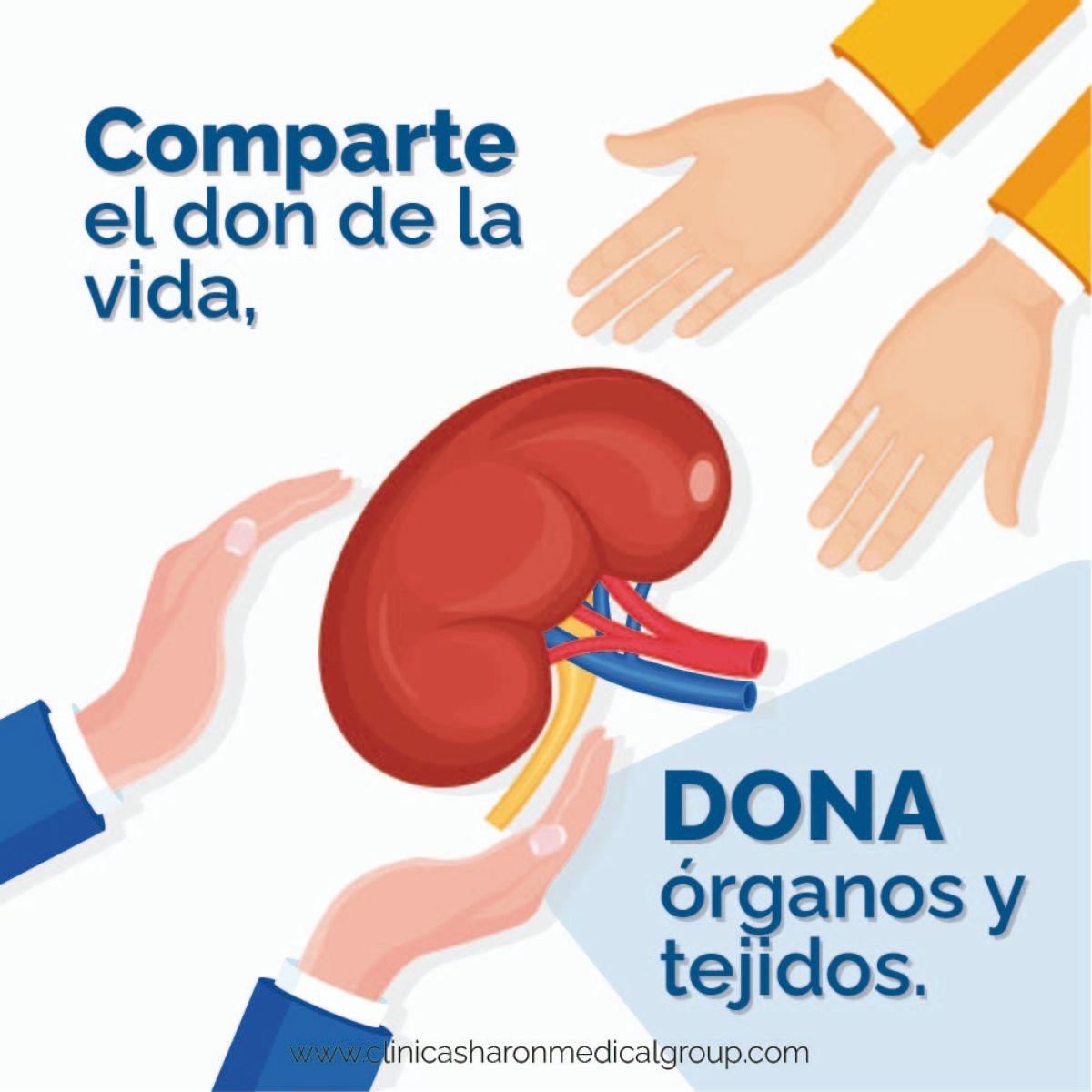consentimiento expreso donacion organos.