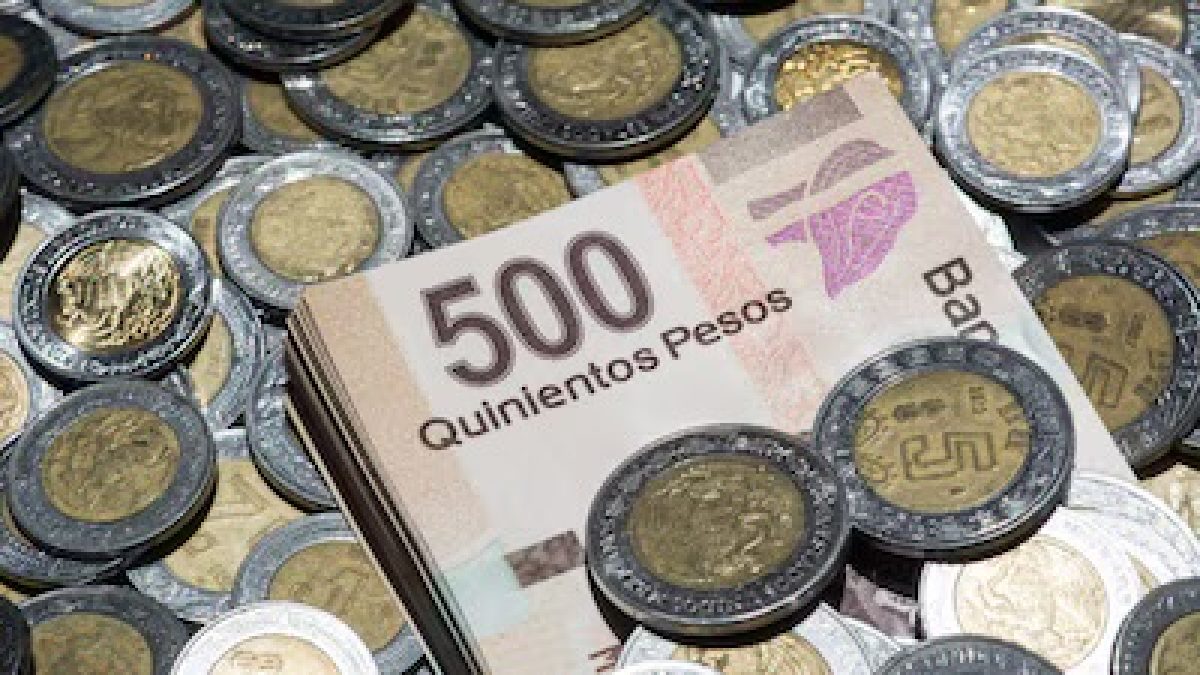 prestaciones trabajadores por honorarios