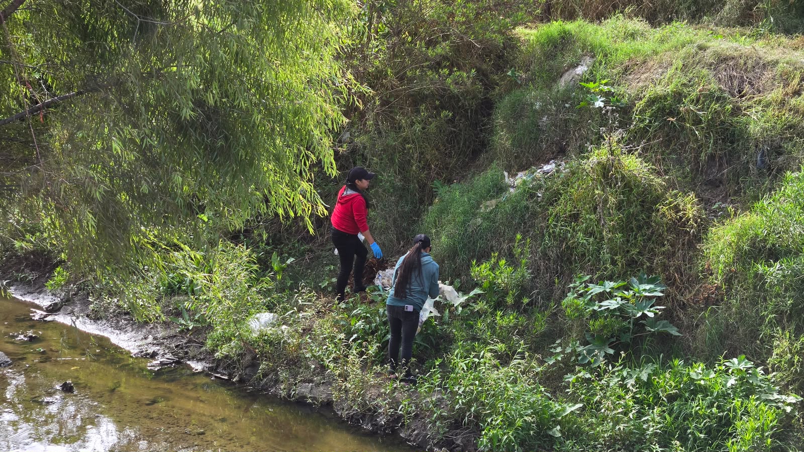 Recolección de basura en río de Qro