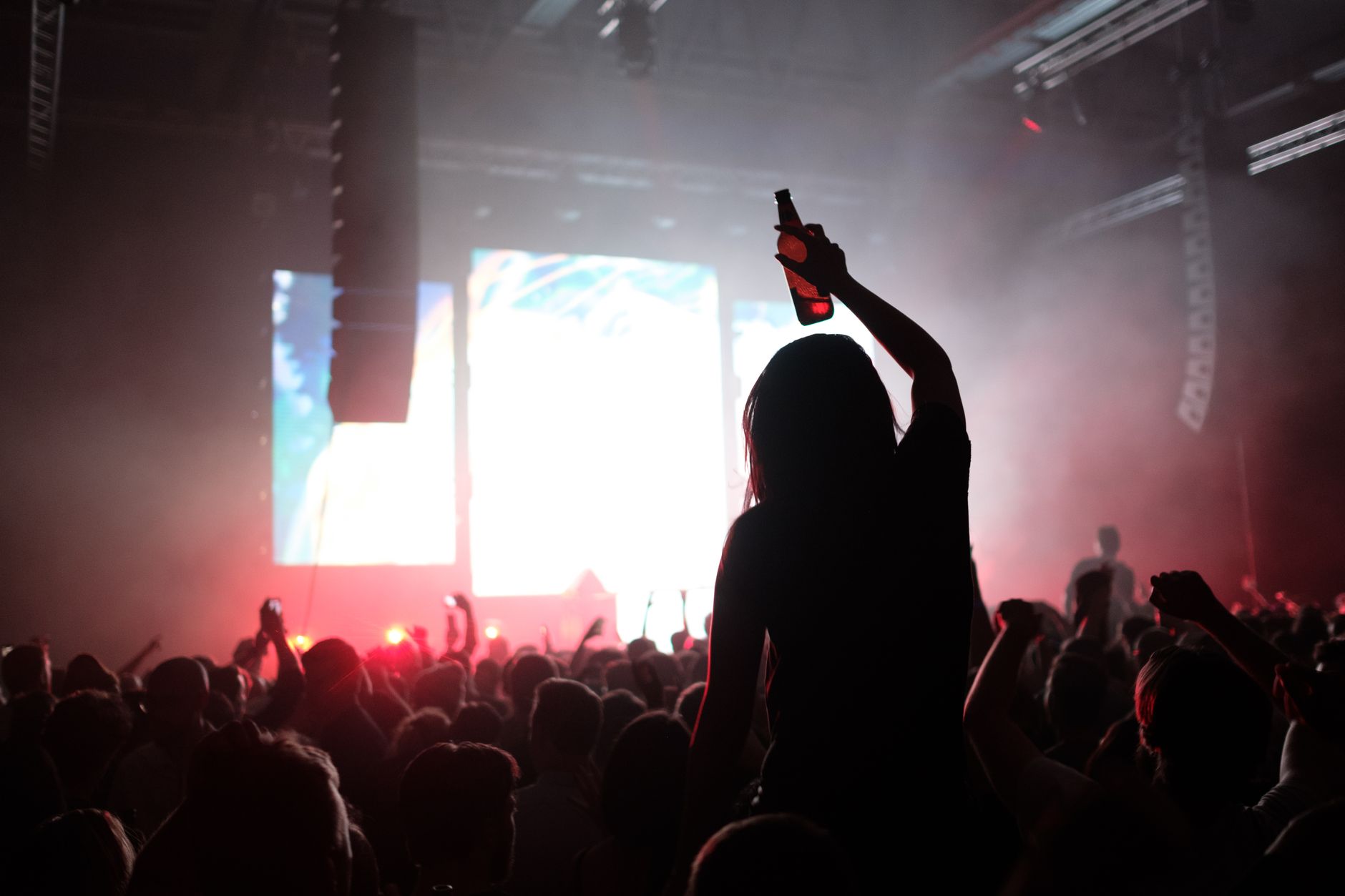 Silueta de una persona entre el público de un concierto de rock, referencia del show de Def Leppard en CDMX