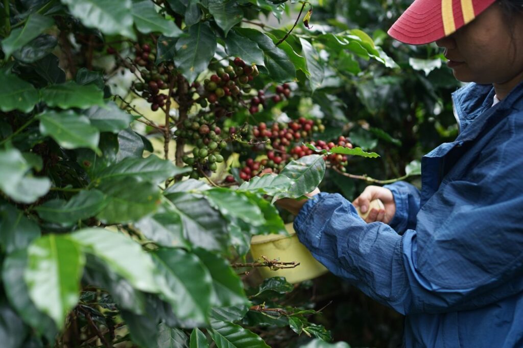 Inversión de Nestlé en México se duplica a 2 mil mdd