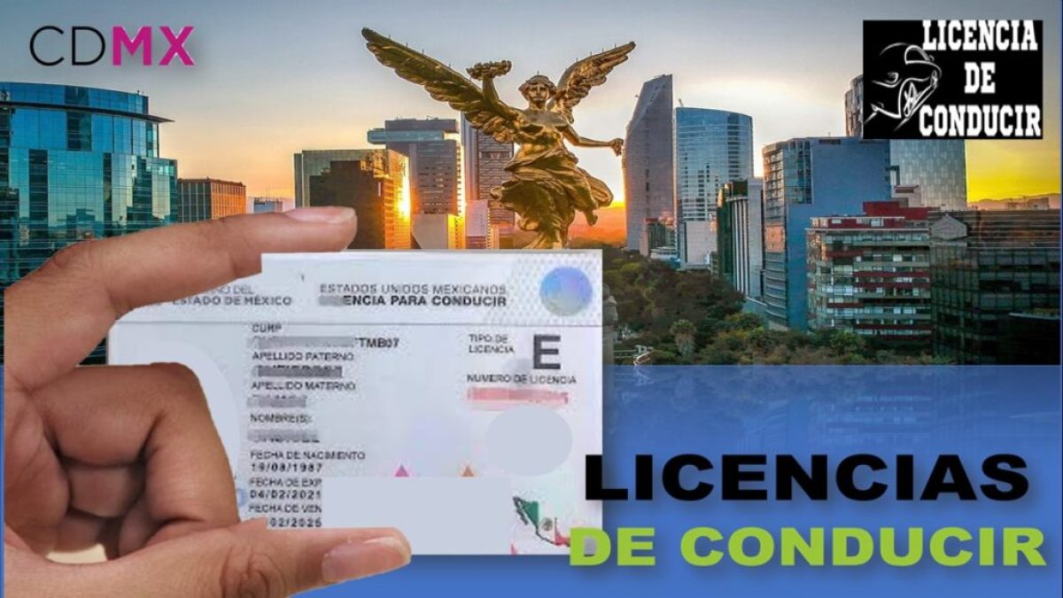 icencia de conducir servicios especializados