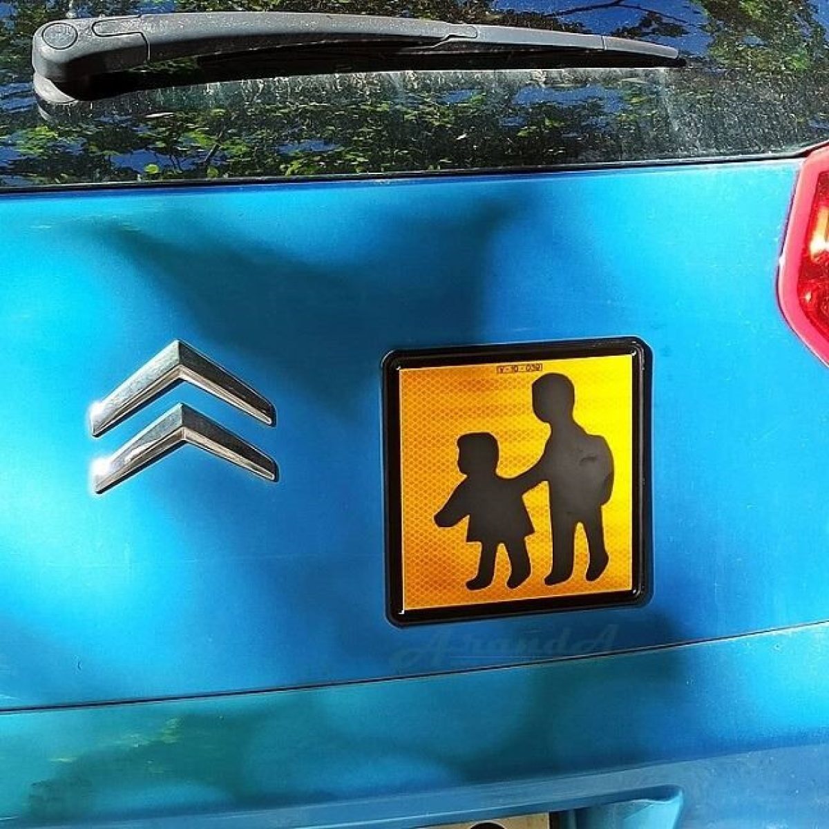 requisitos permiso transporte escolar